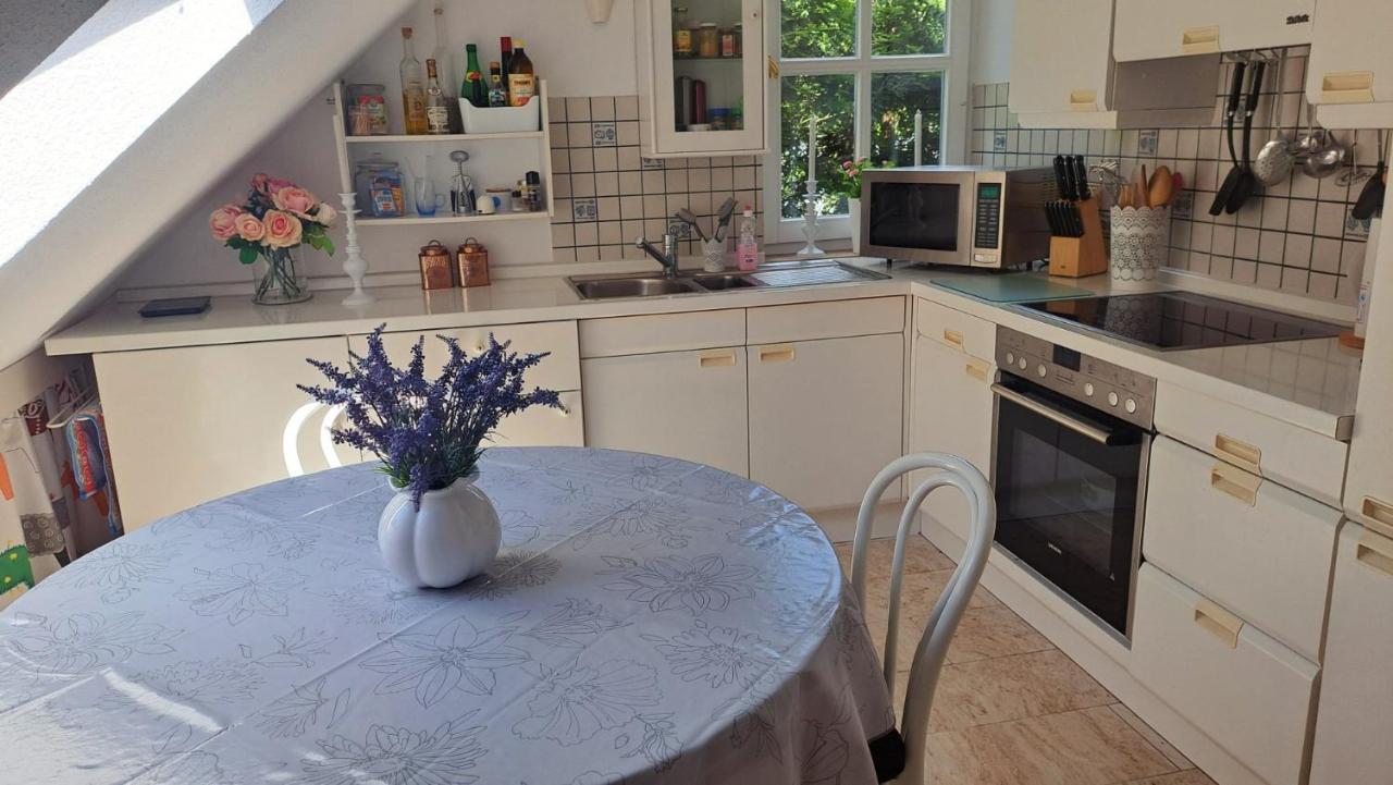 Ferienwohnung In Bad Wilhelmshoehe Weltkulturerbe Kassel Exteriör bild